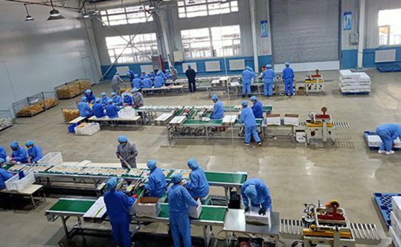教育信息化成本解析:从硬件投资到软件应用